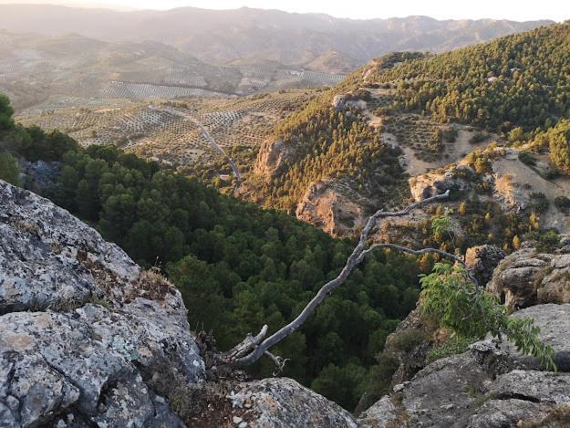 Villa Vista Mora Sierra Cazorla La Iruela Esterno foto